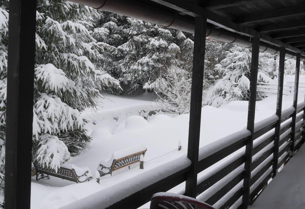 Pension Tannenheim Schluchsee Exterior foto